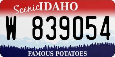 ID license plate W839054