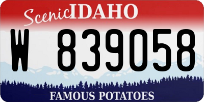 ID license plate W839058