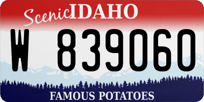 ID license plate W839060
