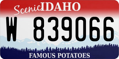 ID license plate W839066