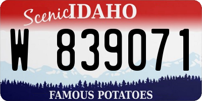 ID license plate W839071