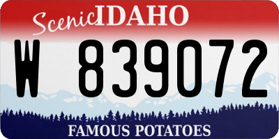 ID license plate W839072
