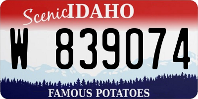 ID license plate W839074