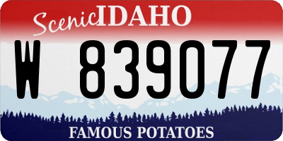ID license plate W839077