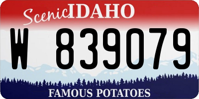 ID license plate W839079
