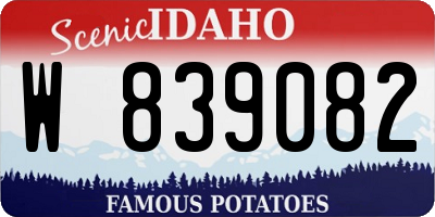 ID license plate W839082