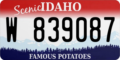 ID license plate W839087