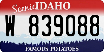 ID license plate W839088