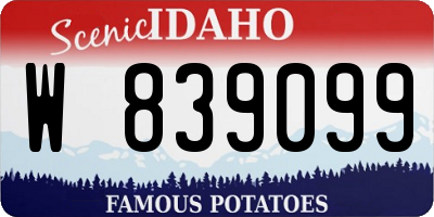 ID license plate W839099