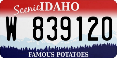 ID license plate W839120