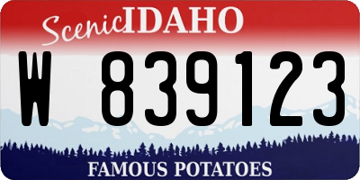 ID license plate W839123