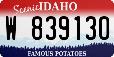 ID license plate W839130