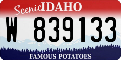 ID license plate W839133