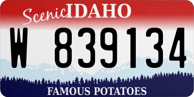 ID license plate W839134
