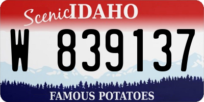ID license plate W839137