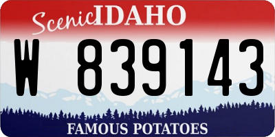 ID license plate W839143