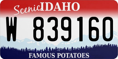 ID license plate W839160