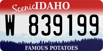 ID license plate W839199