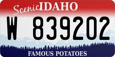 ID license plate W839202