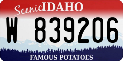 ID license plate W839206