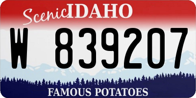ID license plate W839207