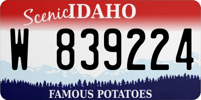 ID license plate W839224