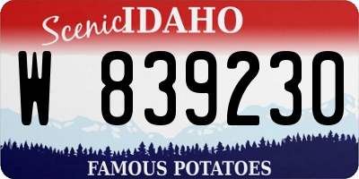ID license plate W839230