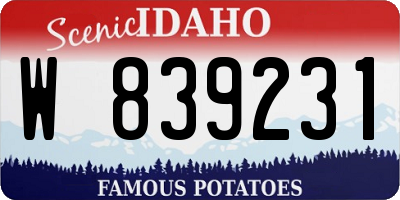 ID license plate W839231