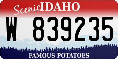 ID license plate W839235