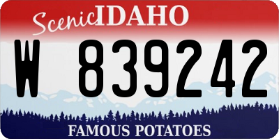 ID license plate W839242