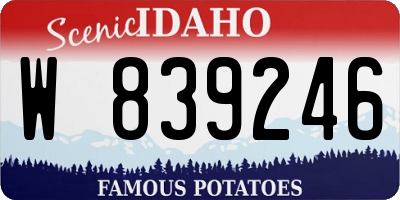 ID license plate W839246