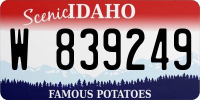 ID license plate W839249