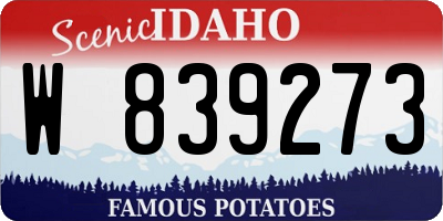 ID license plate W839273