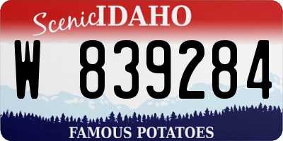 ID license plate W839284