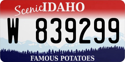 ID license plate W839299