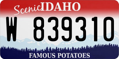 ID license plate W839310
