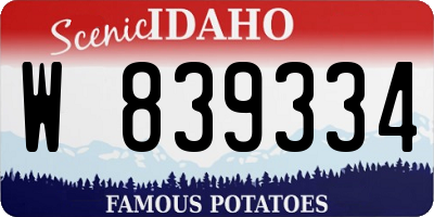 ID license plate W839334