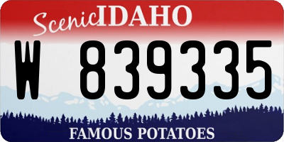 ID license plate W839335