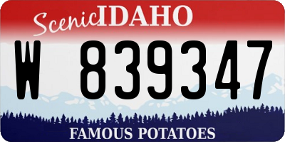 ID license plate W839347