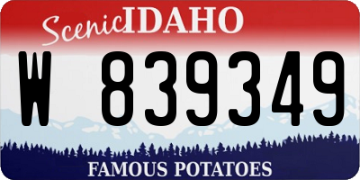 ID license plate W839349