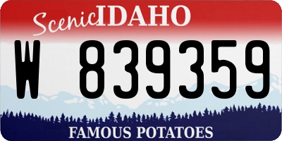 ID license plate W839359