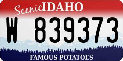ID license plate W839373