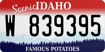 ID license plate W839395
