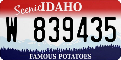 ID license plate W839435