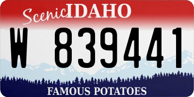 ID license plate W839441
