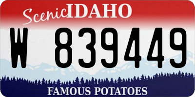 ID license plate W839449
