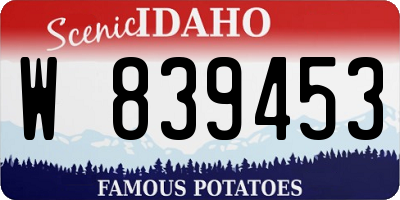 ID license plate W839453