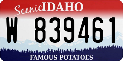 ID license plate W839461