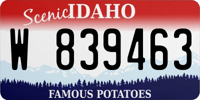 ID license plate W839463