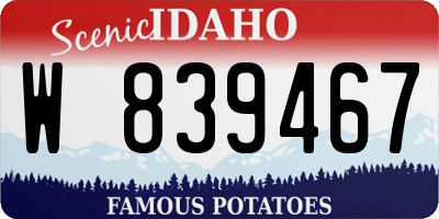 ID license plate W839467